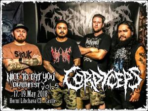 Cordyceps