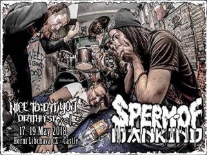 Sperm of mankind