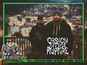 CAPSAICIN STICH-RUPTURE