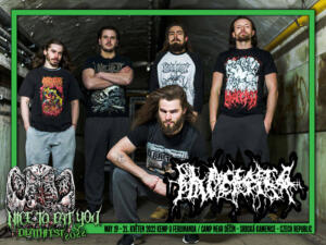 PLACENTA POWERFIST