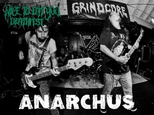 Anarchus   